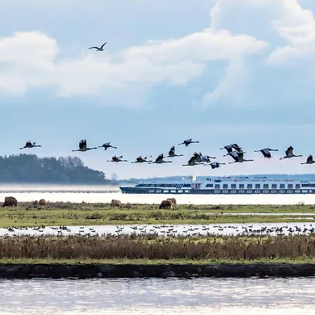 شقة Ankerplatz An Der Seebruecke *